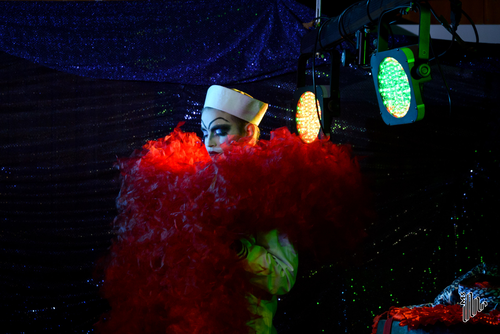 Shady Stardust2